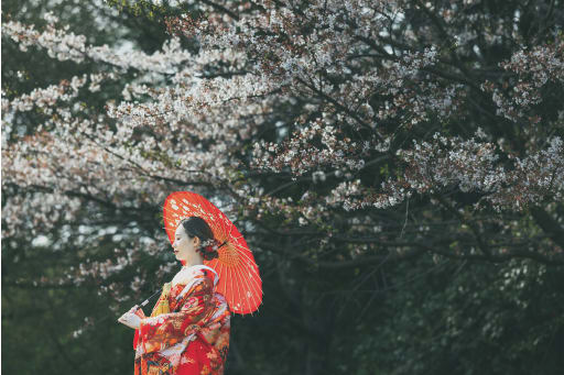 和装と桜