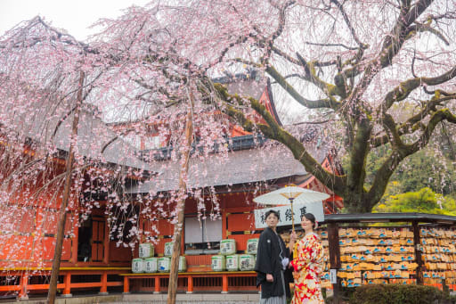 神社は枝垂れ桜がとても綺麗