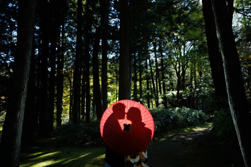 傘でのお写真✨いろいろな用途がありますね！