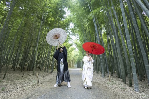 楽しそうですね♩