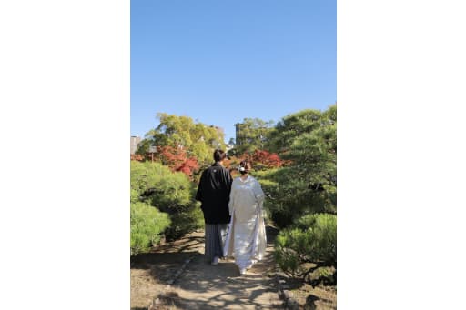 いいお天気です