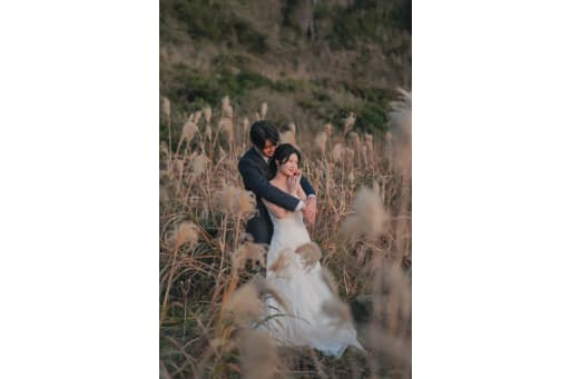 すすきに囲まれて