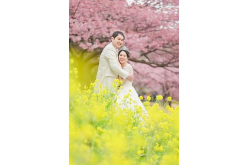 菜の花と桜のコントラストが綺麗