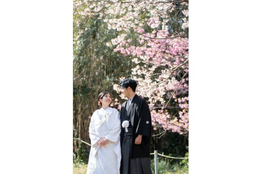 河津桜