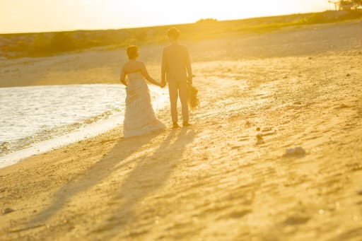 お二人の見つめ合っている後ろ姿も。