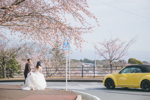 遊び心あふれるスナップ