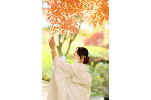 紅葉に手を伸ばすシーン