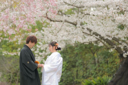 桜