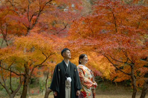美しい紅葉と