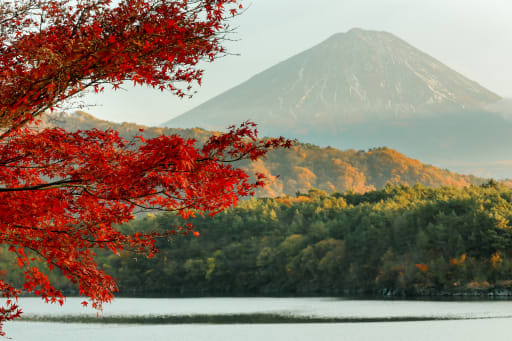 日本の美