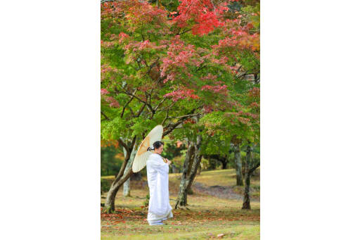 さらに、新婦様のソロカットでは、和傘を手に深みのある紅葉をバックに撮影。