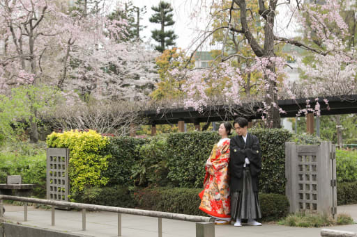 広いお写真も撮ります！