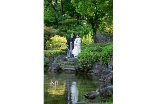 緑鮮やかな場所で