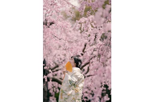 大きな桜を背景に♪