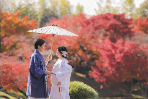 一面真っ赤な紅葉を！
