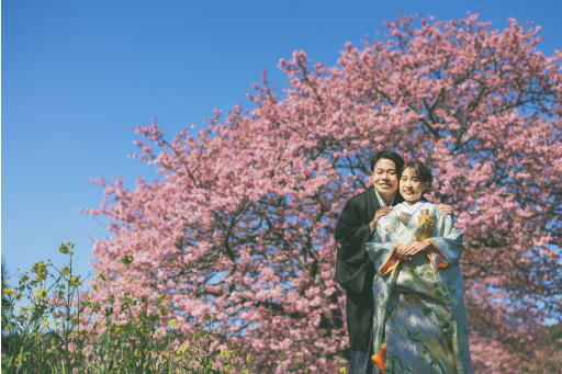 満開の桜