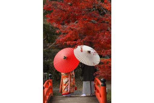 まさに秋シーズンを感じる1枚