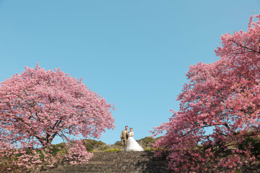 青空と桜