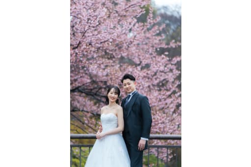 昭和記念公園で桜ロケーション！　1