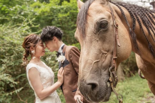 お馬さんアップ