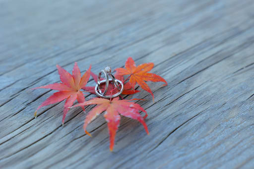 指輪ショット🍁