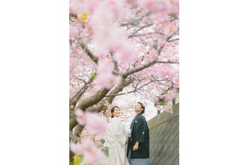 前ボケ桜入れてふわっと🌸