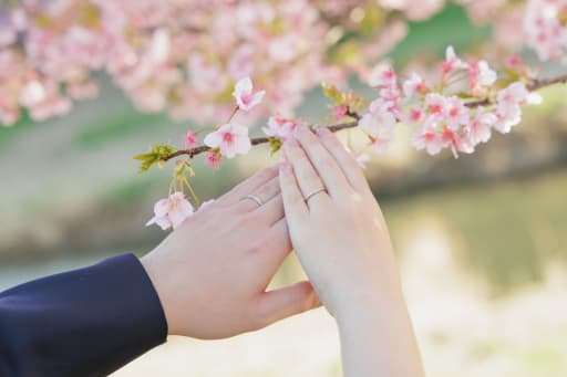 お二人とも、ありがとうございました✨