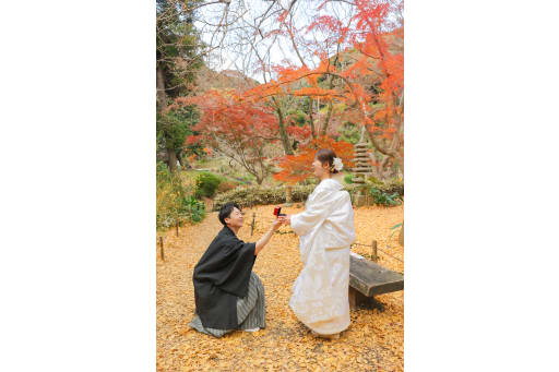 一面の紅葉でプロポーズ