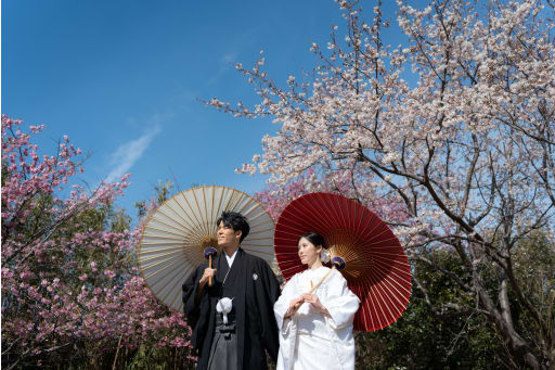和装と桜と