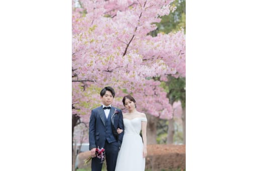 濃いピンクの桜と