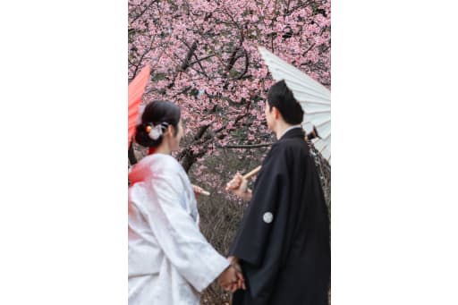 桜を眺めるお二人の雰囲気ショットも撮影できますよ！！