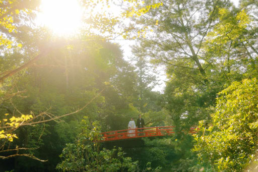 木漏れ日に包まれて、赤い橋の上で