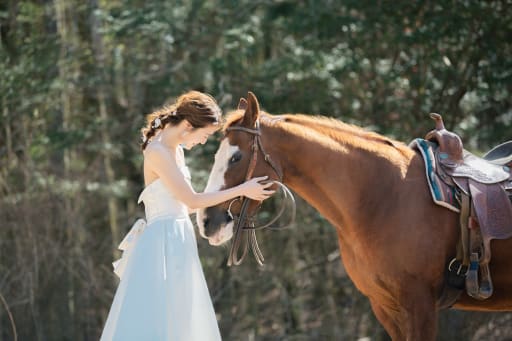お馬さんとツーショット