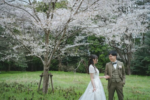 桜の木