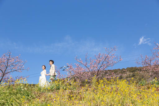 早咲の桜と菜の花