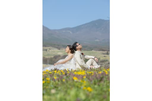 たんぽぽがたくさん！