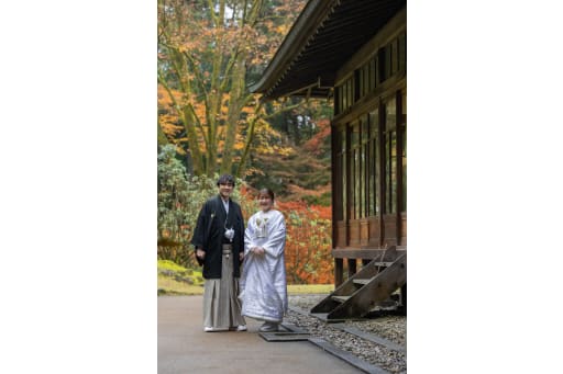 小雨日和の日光