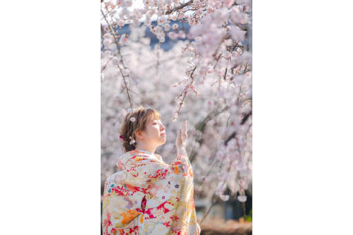 梅も桜みたいに見えますね。