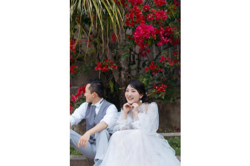 ブーゲンビリア