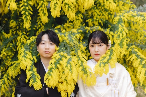 ミモザに包まれて