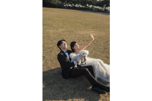 太陽に照らされて