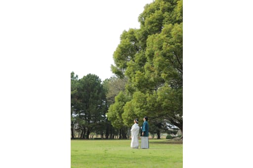 緑いっぱい