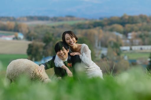 羊のもふもふでリラックス