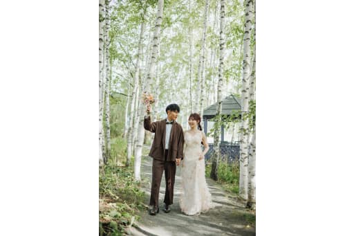 上野ファームの白樺並木で