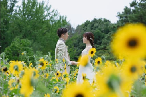 サンフィニティ