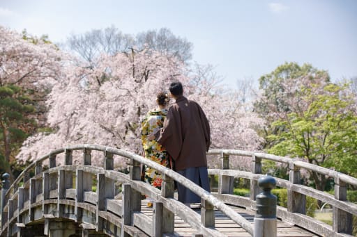 桜ロケのご予約はお早めに