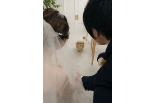 てちてち