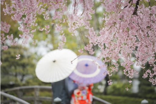 雰囲気感じる1ショット