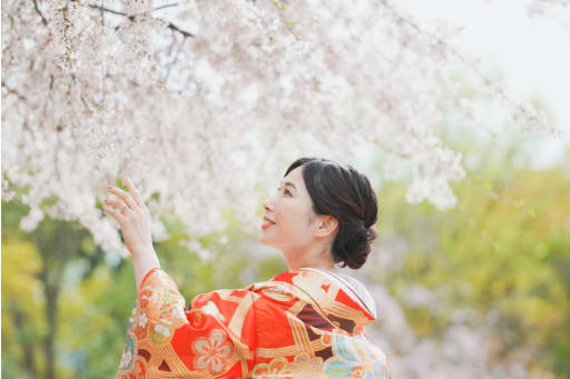 美しい。