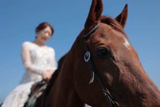 お馬さん